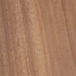 Khaya african mahogany